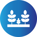 plantación icon