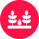 plantación icon