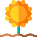 girasol icon