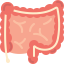 intestinos icon