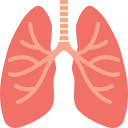 pulmones icon