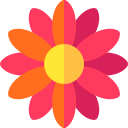 gaillardia icon