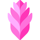 tillandsia cyanea icon