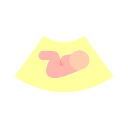 fetal icon