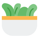 ensalada icon