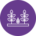 plantación icon