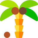 palmera icon