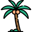 palmera