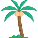 palmera icon