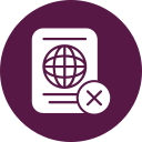 pasaporte icon