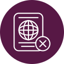 pasaporte icon