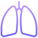 pulmones 