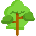 Árbol icon