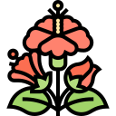 hibisco icon