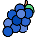 uvas icon