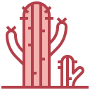 cactus icon