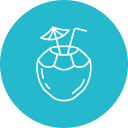 agua de coco icon