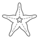 estrella de mar icon