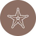 estrella de mar 