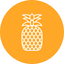 piña icon