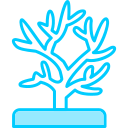 coral icon