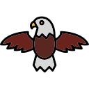 Águila