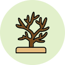 coral icon