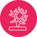 coral icon