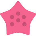 estrella de mar icon