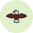 Águila icon