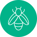 abeja icon