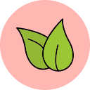 hoja icon