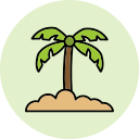 palmera icon