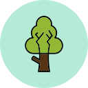 Árbol icon