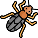 mosca de piedra icon