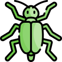 mosca española icon