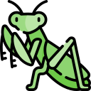 mantis icon