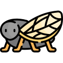 cigarra icon