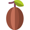 cacao icon