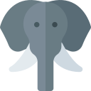 elefante icon