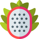 dragon de fruta icon