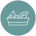 salada 