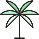 palmera