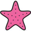 estrella de mar icon