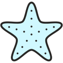 estrella de mar