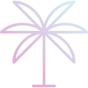 palmera icon