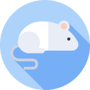 ratón icon