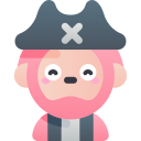 pirata icon