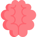 cerebro icon