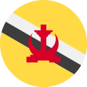 brunéi icon